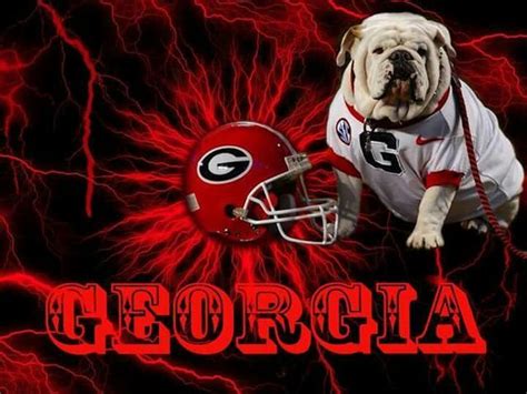 Georgia bulldogs, Georgia dawgs, Georgia bulldog mascot