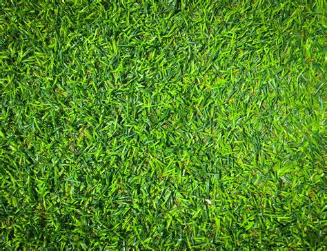 Closeup view of green grass soccer field background. Wallpaper for work ...