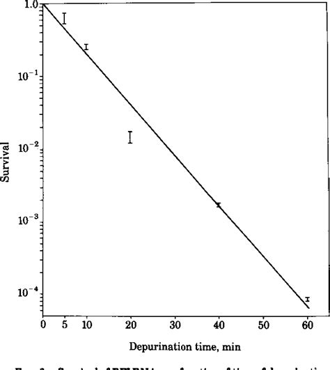 Figure 1 from Depurination causes mutations in SOS-induced cells ( chemical carcinogenesis ...