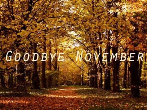 Autumn Goodbye November Quote Pictures, Photos, and Images for Facebook ...