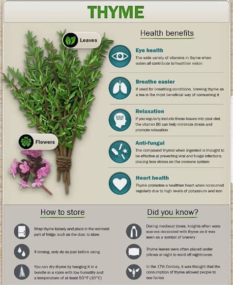 The Herb of the day is Thyme ! It's a powerhouse all by itself. Anytime ...