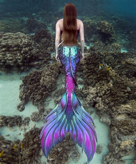 Pin on Mermaid | Mermaid photography, Realistic mermaid tails, Fin fun ...