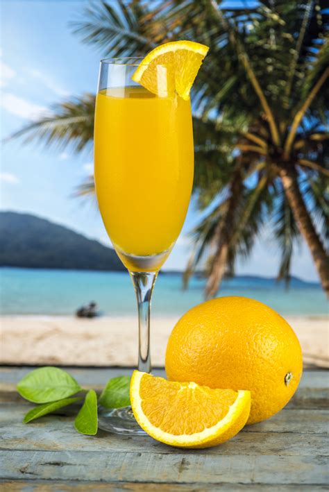 Free Images : beach, citrus, closeup, drinkable, drinking, food photography, fresh, freshly ...