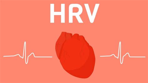 Everything You Should Know About Heart Rate Variability (HRV) - YouTube