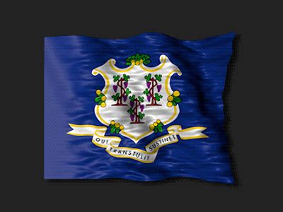 Flag Of Connecticut by dorusoftware on Dribbble