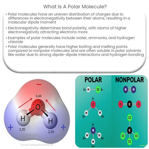 ¿Qué es un momento dipolar eléctrico?