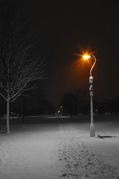 Street Lamps at Night in Winter