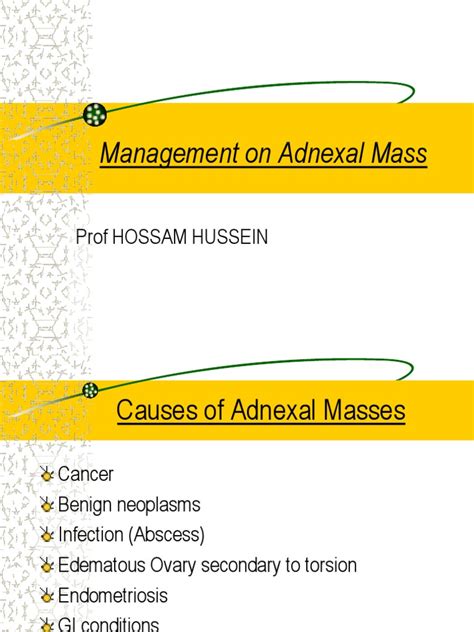 Management on Adnexal Mass | Ovarian Cancer | Medical Ultrasound