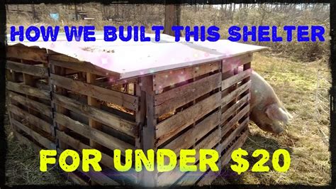 Pig Shelter Build, For Under $20! - YouTube