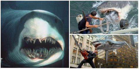 Best Shark Movies, Ranked