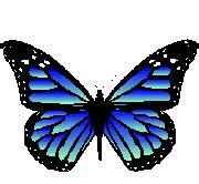 Butterflies: Animated Images, Gifs, Pictures & Animations - 100% FREE!