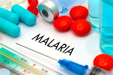 Ancient Chinese Malaria Remedy Fights TB - Drug Discovery and Development