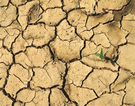 ESA - Severity of desertification on world stage