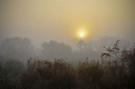 A Foggy Sunrise Photograph by Carolyn Marshall - Fine Art America