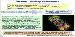 Protein Folding Animation - DnaTube.com - Scientific Video and ...