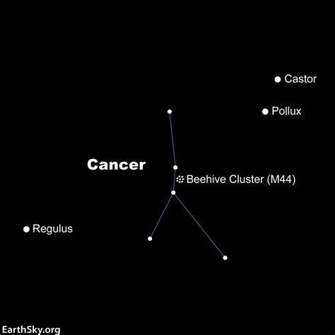 Meet Cancer the Crab and its Beehive cluster