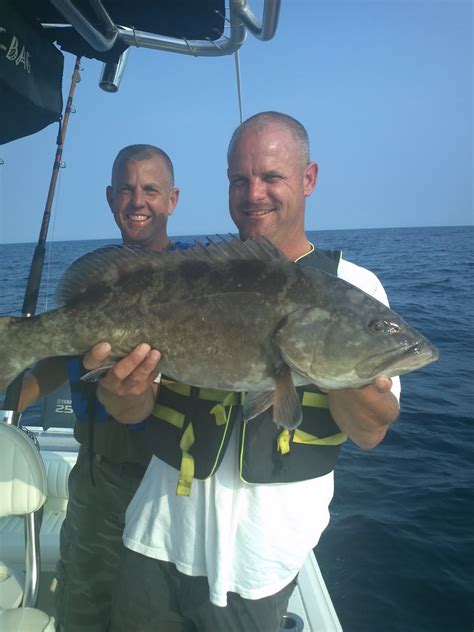 Emerald Isle Fishing Report: Emerald Isle fishing turns on..