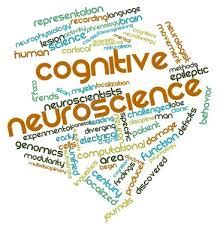 Cognitive Neuroscience - Assignment Point