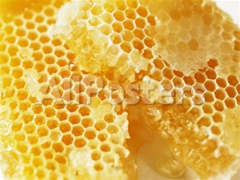 Honeycomb (Close-Up) Photographic Print by Colin Erricson at AllPosters.com