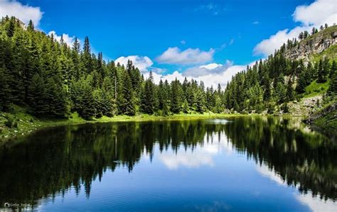 Visit Albania - Albanian Nature #Visit #Albania #Nature #Landscape #Travel #Beautiful #Europe ...