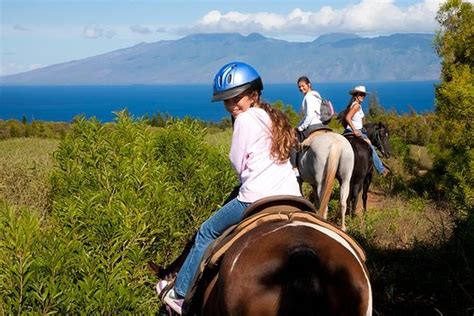 TripAdvisor | Horseback Riding in Maui Countryside provided by Ironwood Ranch | Lahaina