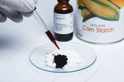 Iodine test for starch - Stock Image - C030/7159 - Science Photo Library