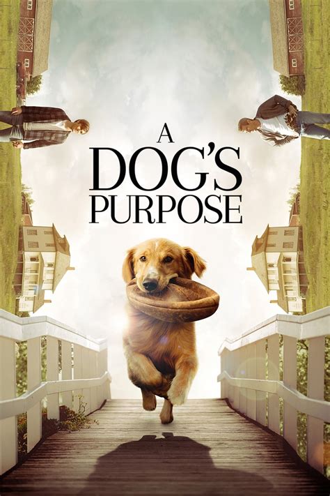 A Dog's Purpose (2017) - Posters — The Movie Database (TMDB)