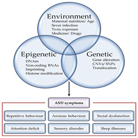 Epigenomes | Free Full-Text | The Role of Genetics, Epigenetics, and the Environment in ASD: A ...