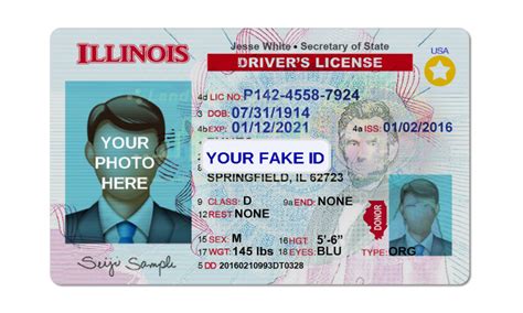 Illinois Fake ID Template – Your Fake ID Templates