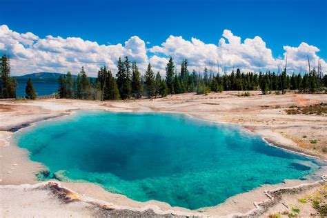 Yellowstone National Park Self-Guided Driving Tour