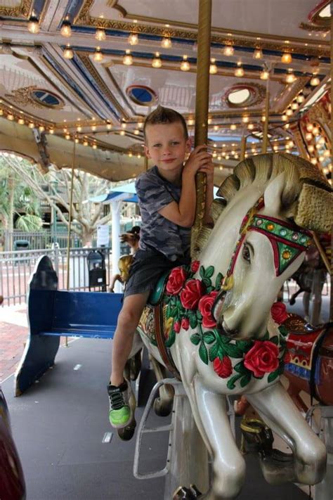 From Trails to Tales: Why Sugar Sand Park is a Top Spot for Families