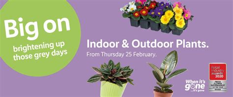 LIDL Indoor & Outdoor Plants Offers from Thursday, 25th February 2021 - https://www.olcatalogue ...