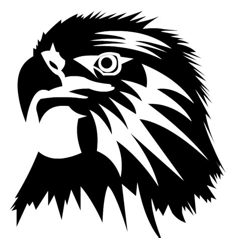 Eagle Clip art - Eagle Head PNG Image png download - 800*800 - Free ...