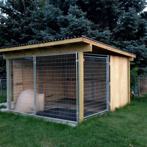 Dog Run Ideas Diy