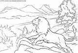 World Of Narnia coloring To Print sketch template
