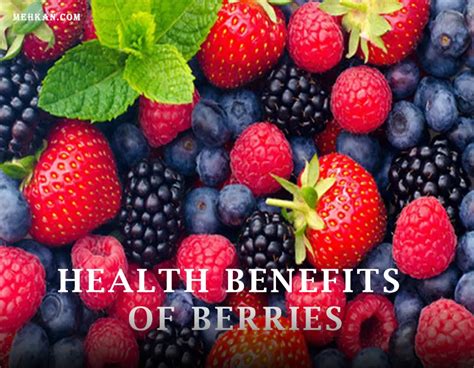 6 Health Benefits of Berries That Will Transform Your Well-being ...