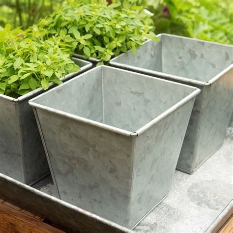 Buy Galvanised square pot: Delivery by Waitrose Garden