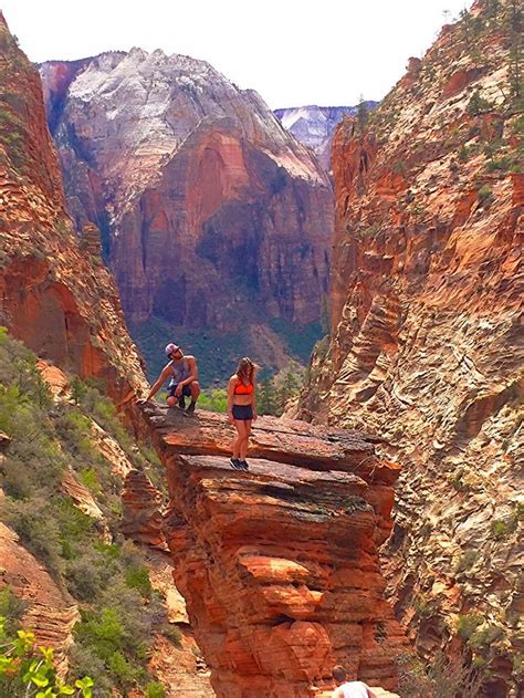 Zion National Park map depicting the Emerald Pools and Grotto hiking trails. Courtesy | National ...