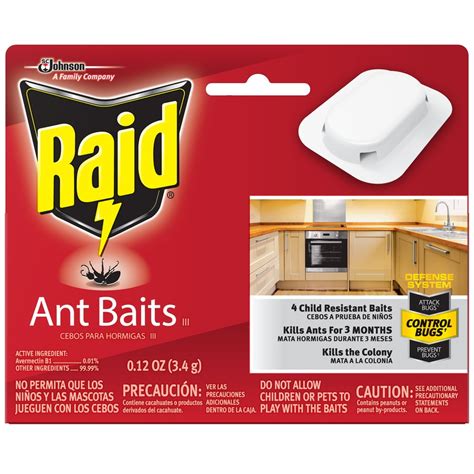 Raid 8-Count Ant Bait Station at Lowes.com