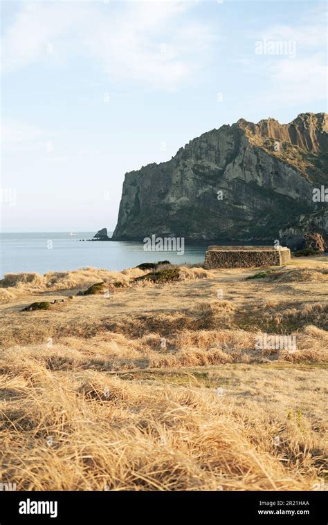 Winter of Seongsan Ilchulbong volcanic crater seaside olle trail in ...