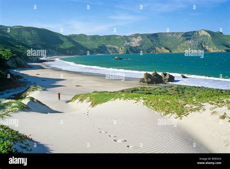 Hiker on Cuyler Harbor Beach on San Miguel Island, Channel Islands National Park, California ...