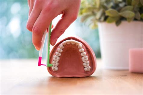 WingBrush: A Genius New Way To Floss Your Teeth