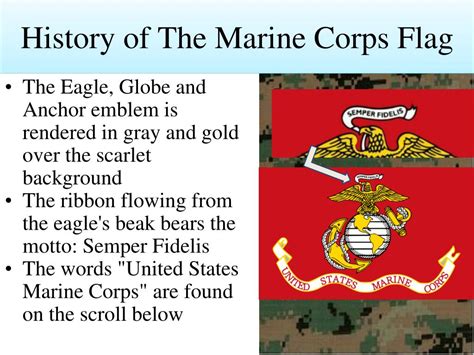 PPT - Scout Snipers in the USMC PowerPoint Presentation, free download ...