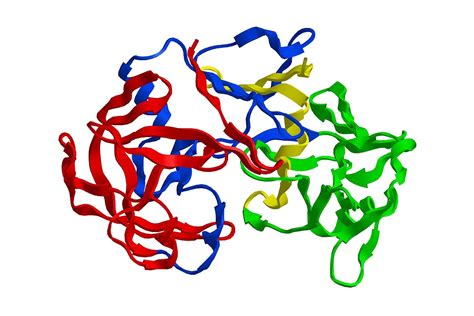 The importance of detecting pepsin to diagnose reflux