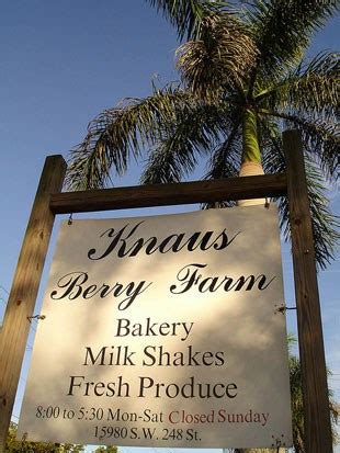 Knaus Berry Farm: Beloved sweet spot south of Miami | Florida Rambler