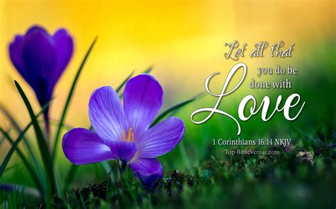 1 Corinthians 16:14 Christian Bible Verse Desktop Wallpapers