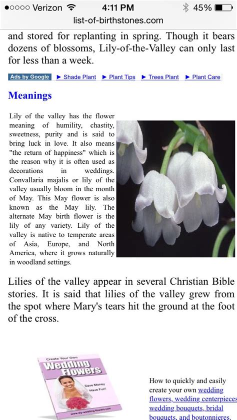 Lily Of The Valley Meaning – Idalias Salon