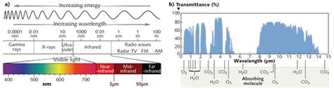 Mid-infrared Spectroscopy/Bioimaging: Moving toward MIR optical biopsy ...