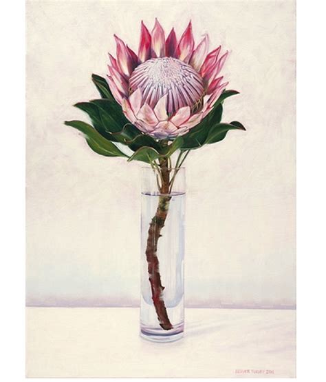 Protea | Flower art, Protea art, Floral art