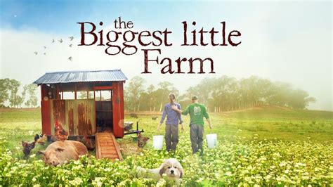 Featured Movie - The Biggest Little Farm in 2020 | Documentaries, Farm lifestyle, Big little